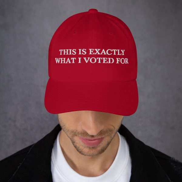 "THIS IS EXACTLY WHAT I VOTED FOR" Dad hat - Image 3