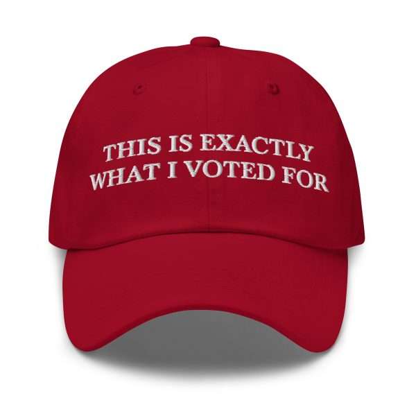 "THIS IS EXACTLY WHAT I VOTED FOR" Dad hat - Image 4