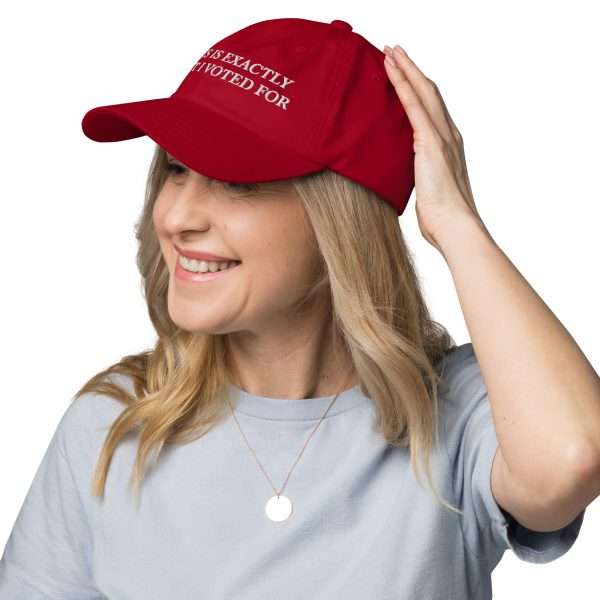 "THIS IS EXACTLY WHAT I VOTED FOR" Dad hat - Image 5